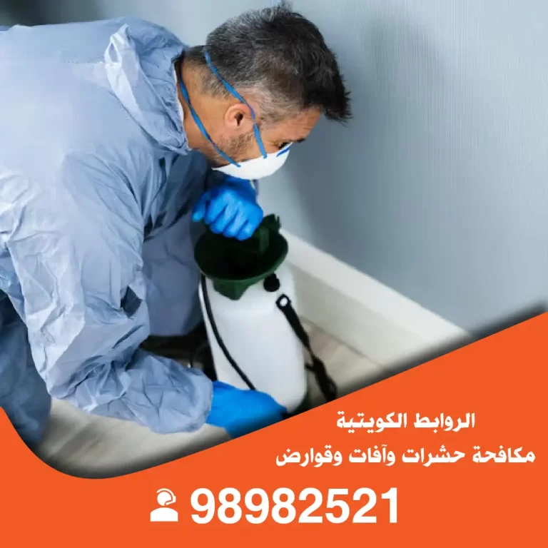 مكافحة حشرات مبارك الكبير