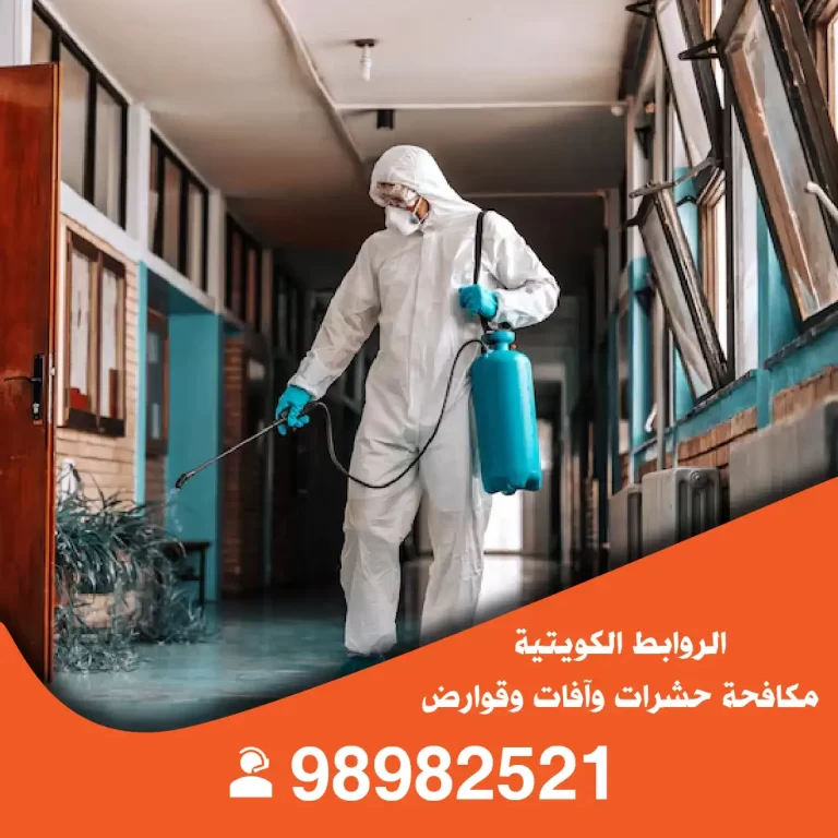 مكافحة حشرات مبارك الكبير