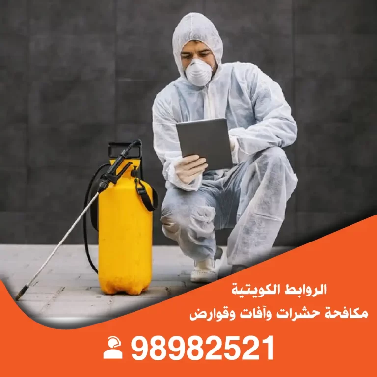 مكافحة حشرات مبارك الكبير