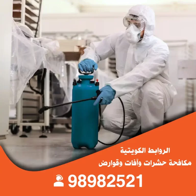 مكافحة صراصير مبارك الكبير