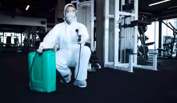 شركه مكافحه حشرات النقرة