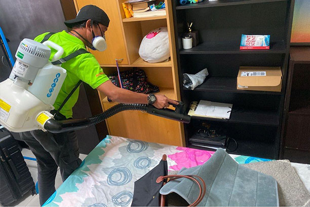 ابادة قوارض القيروان
